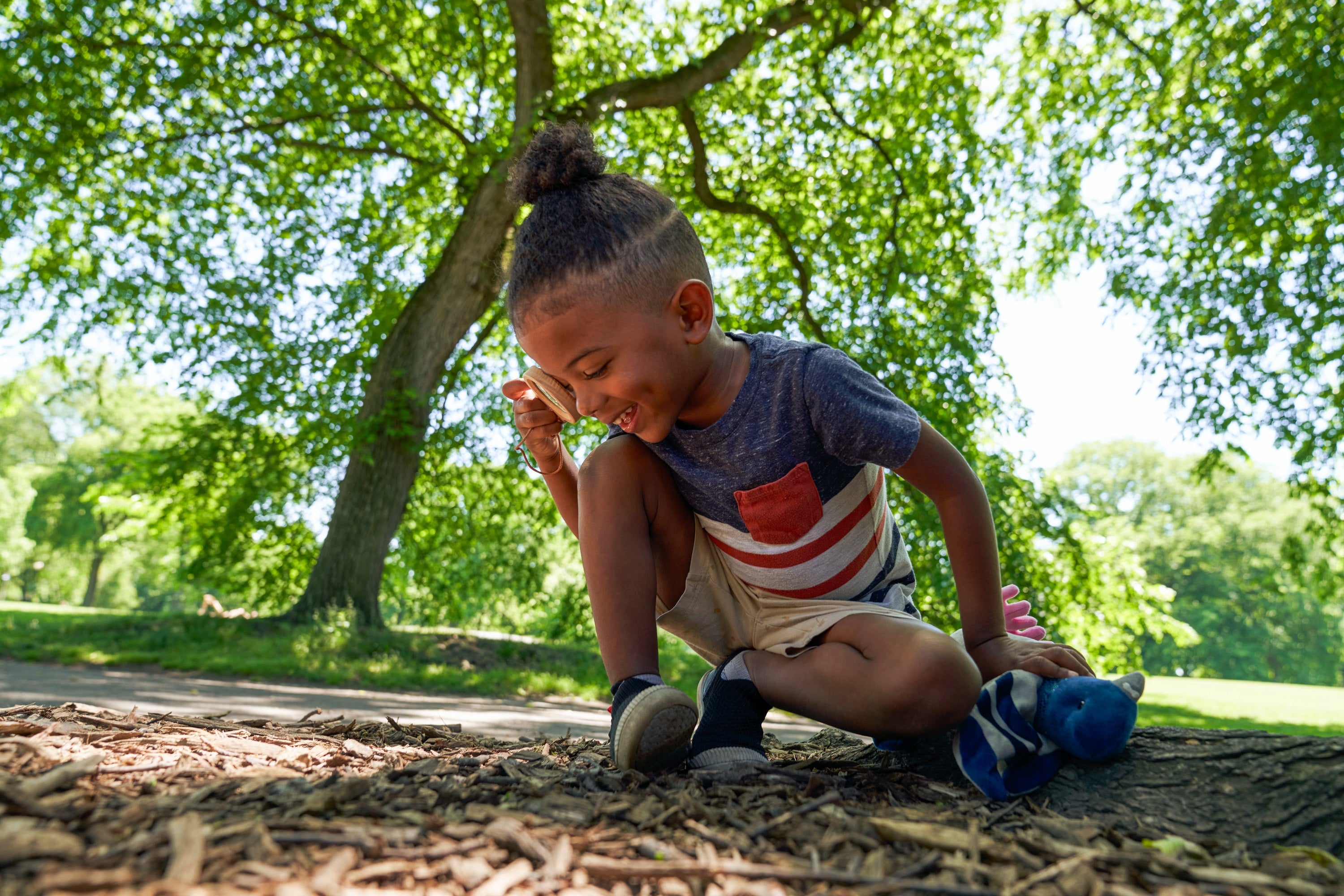 Activities & Toys Page 2 Central Park Conservancy Shop