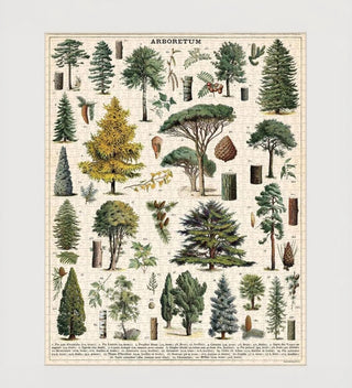 a completed puzzle with 20 tree species illustrated with archival drawings on a grey background 