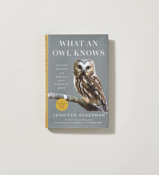 A cover of a book featuring a likeness of an owl with the title 'What an Owl Knows' in white text