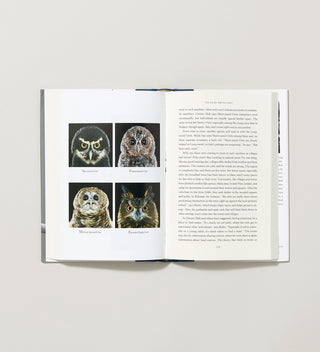 An open spread of a book  featuring photographs of four species of owls  including the Eurasian Eagle Owl, the same species as Flaco, and text