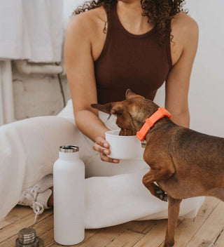 a person holds a white food grade silicone drinking bowl for their dog next to a matching white insulated water bottle. 