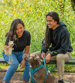 two people sit on a Central Park bench while playing with a dog and a beige squirrel rope toy for dogs