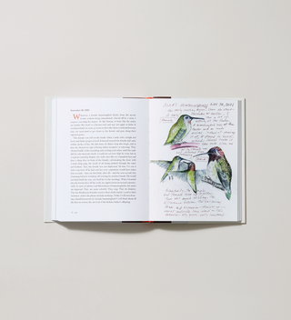 Open book of 'The Backyard Bird Chronicles' by author Amy Tan, showing text and an illustrated page with notes on Anna's Hummingbirds