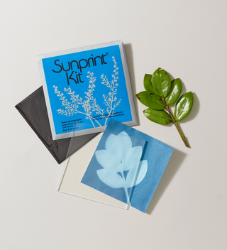 Opened sunprint kit, featuring the sunprint of a leaf