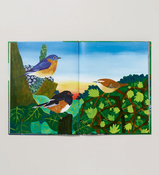 an open book with a vibrant illustrations of three birds including a Bluebird and Wren on trees and shrubs 