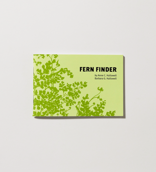 Fern Finder: A Guide to Native Ferns of Central and Northeastern United States