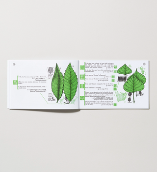 Opened Tree Finder with illustrations and descriptions of tree leaves