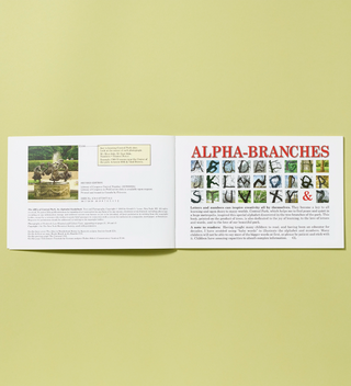 Inside spread image of The ABCs of Central Park, An Alphabet Guidebook book, statue detail and tree branches in shape of letters