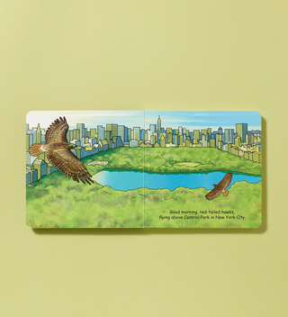 Illustrated book spread showing red-tailed hawks flying above Central Park with the New York City skyline in the background.