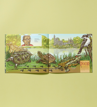 Inside spread of the book 'Who Pooped in Central Park?' showing an illustration of turtles by a lake, with a boy and a bird, and the text 'Turtle Tracks'.