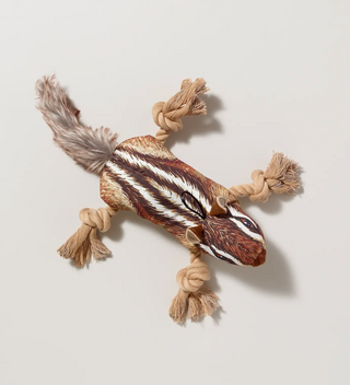 a  printed canvas and rope dog tog  in the shape and design of a chipmunk