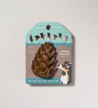 Packaged Loblolly Pinecone puzzle toy