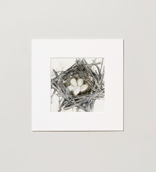 Art print in a white frame, featuring a bird's nest