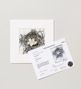 Art print in a white frame, featuring a bird's nest, shown alongside a card with information about the piece