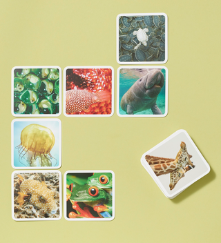 Spread of OuiSi Nature photo cards featuring various nature images on a light green background.