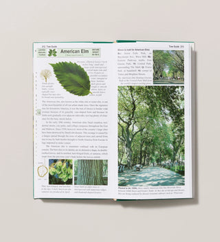 Open book with text and images of American Elm tree leaf, trunk, seeds and landscapes