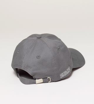 Back view of a gray baseball cap with the Central Park Conservancy logo embroidered on the side