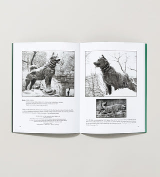 open spread of a book with photographs of the Balto Statue in Central Park on a grey background