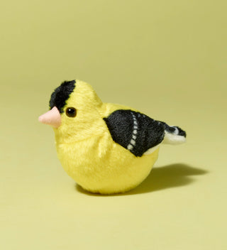 Audubon plush toy, American goldfinch bird in yellow and black colors, facing left on a light green background