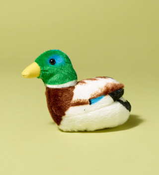 Audubon plush toy, Mallard duck with a green head and yellow beak, facing left on a light green background