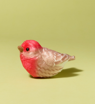 Audubon plush toy, House finch bird with red and beige colors, facing left on a light green background