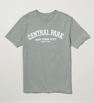 Gray t-shirt with 'Central Park New York City Since 1858' text, displayed on a flat surface.