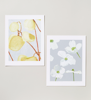 two prints of botanical paintings on grey background