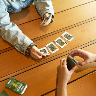 Central Park Playing Cards