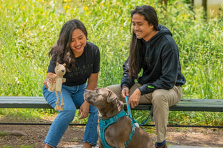 two smiling people are playing with  their mid-sized dog and a squirrel rope toy while sitting on a Park bench