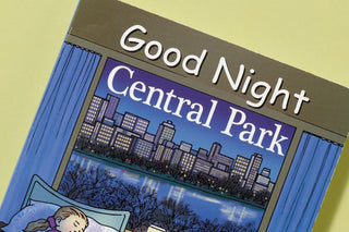 a closeup of a book titled Good Night Central  Park with a crop of an  illustration of a child sleeping