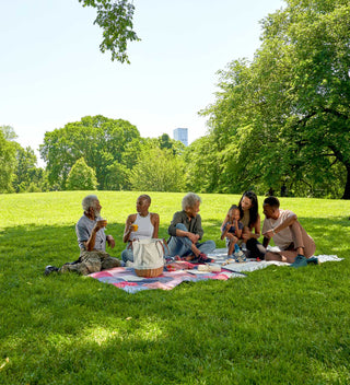 Group of people enjoying a picnic on a patchwork quilt in Central Park, engaging in conversation and sipping drinks, set against a lush green park background.