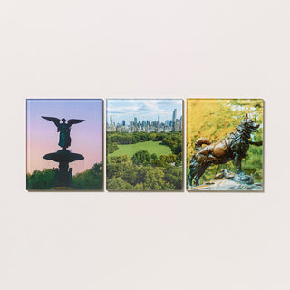 Three  acrylic magnets featuring photographs on Central Park on a light gray background.