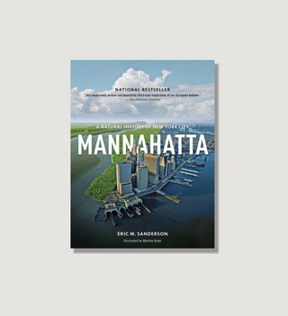 a cover of a book featuring a photograph of an aerial shot of Manhattan  with a lush green landscape and the title Mannahatta a natural history  of New York City 