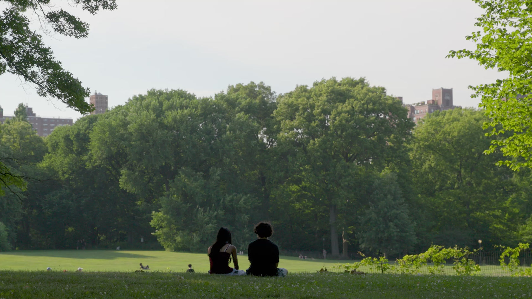 a couple resting in  the shade of the tree canopy on the edge of a lawn in Central Park.