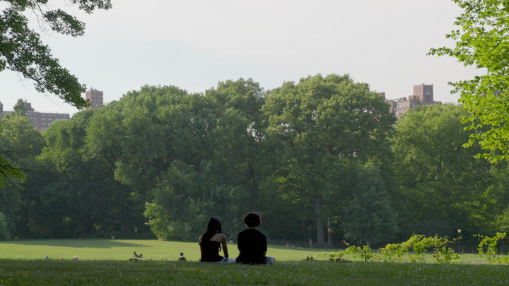 a couple resting in  the shade of the tree canopy on the edge of a lawn in Central Park.