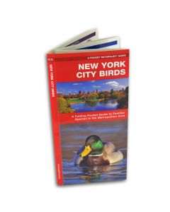 New York City Birds Guide