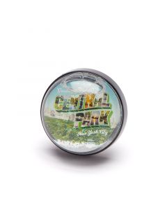 2-inch oval magnet with a "Greetings from Central Park, New York City" script over a view of the park and the city skyline. 
