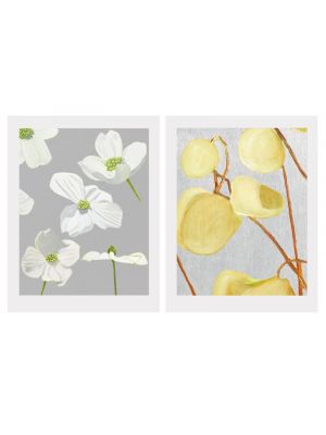 Signed print on archival paper with a matte finish, with a white border for framing. Select White Dogwood Blossoms or Milkweed Seed Pods The print measures 8.5 by 11 inches. Printed area measures 7 by 9 inches.