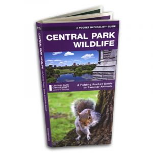 Take this folding guide to familiar animals on your next walk in Park or hike in the woods. The laminated, durable guide fits perfectly in a pocket or back pack. Includes full color illustrations of birds, fish, mammals, insects and amphibians in the urba