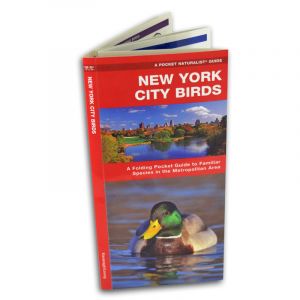 New York City Birds Guide