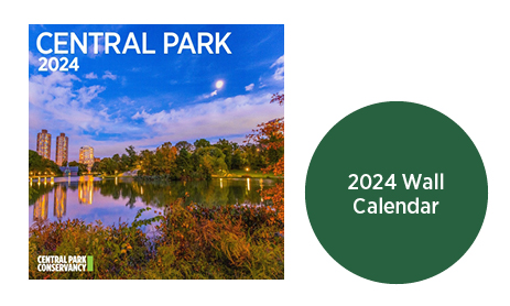 Central Park 2024 Wall Calendar